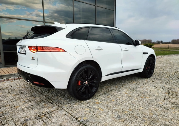 Jaguar F-Pace cena 139000 przebieg: 114000, rok produkcji 2017 z Staszów małe 781